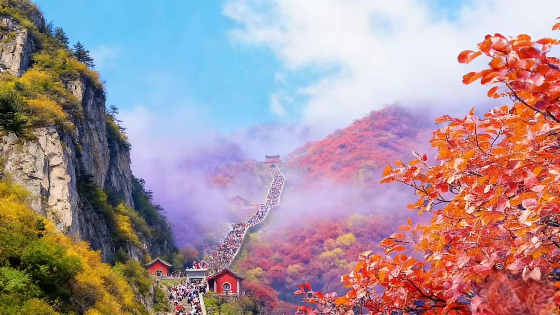 🌟 紅楓銀杏·泰山雲海·蓬萊仙境·青島啤酒·一次飽覽山東秋日精華 🌟